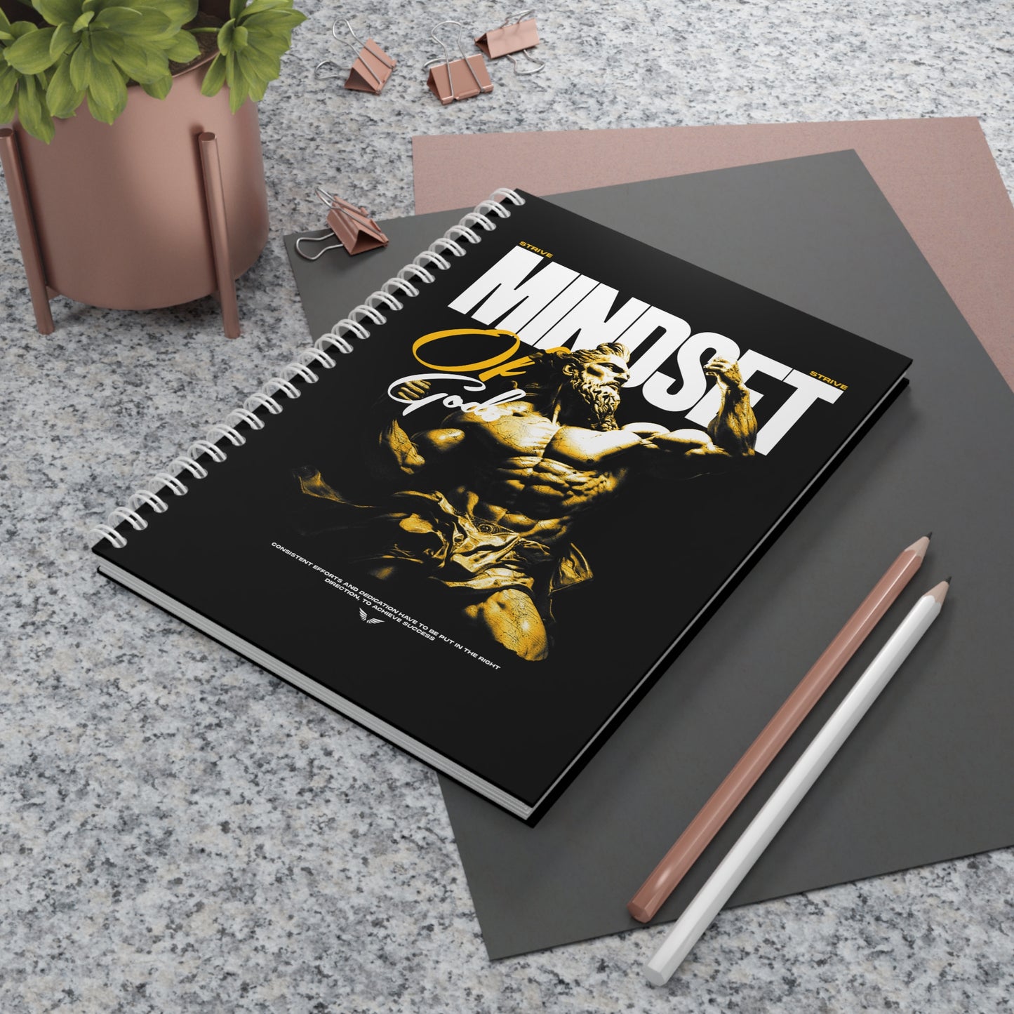 STRIVE Progress Book